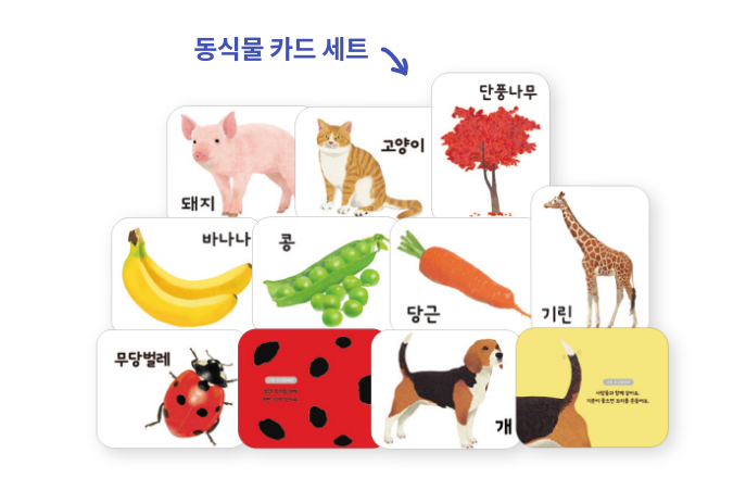 놀자 빵빵! 입체놀이북 2종 세트, 블록북 9권 세트, 동식물 카드 세트(80장), 놀자 동요 CD, 권말부록 스티커 세트