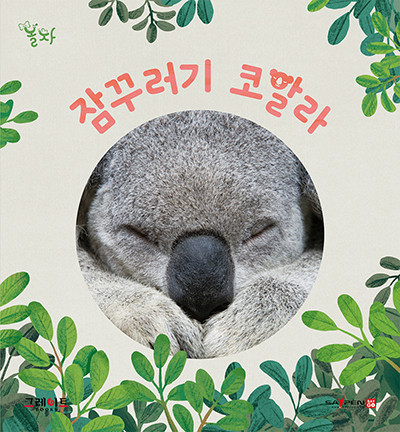 이미지