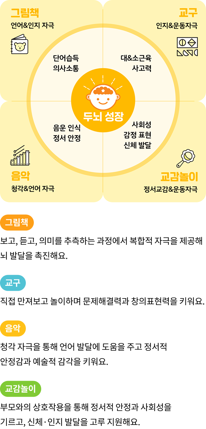 두뇌성장 그래프 mo 이미지