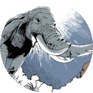 19 솔로몬 왕의 동굴